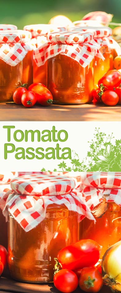 A tomato passata is the perfect way to preserve a glut of tomatoes and makes the perfect base for a host of stews and soups!