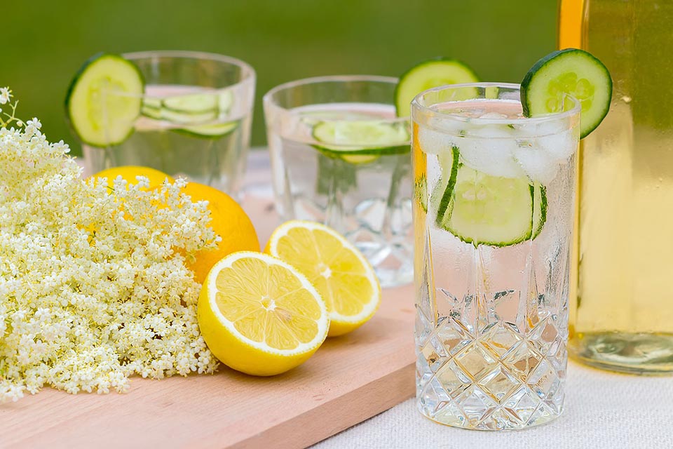 Elderflower Champagne Recipe & Cordial Krumpli