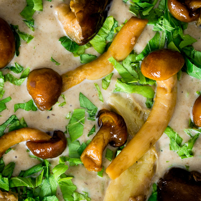 Cream of Wild Mushroom Soup Using frozen mushrooms brings the wonderful autumnal flavours in this cream of wild mushroom soup within reach of every home cook!