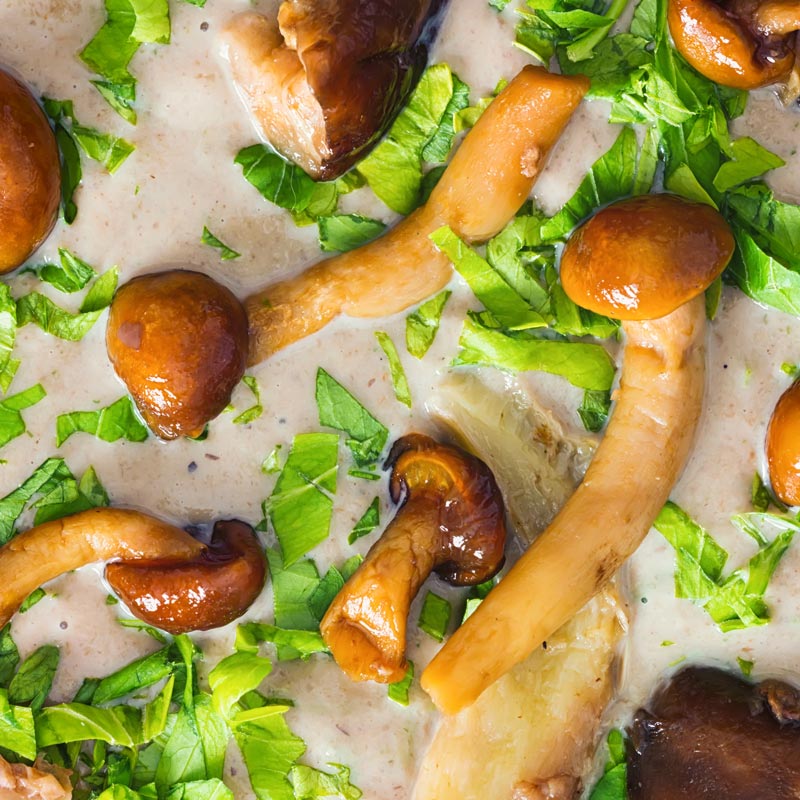 Close up of wild mushrooms in a cream of mushroom sou with lots of parsley