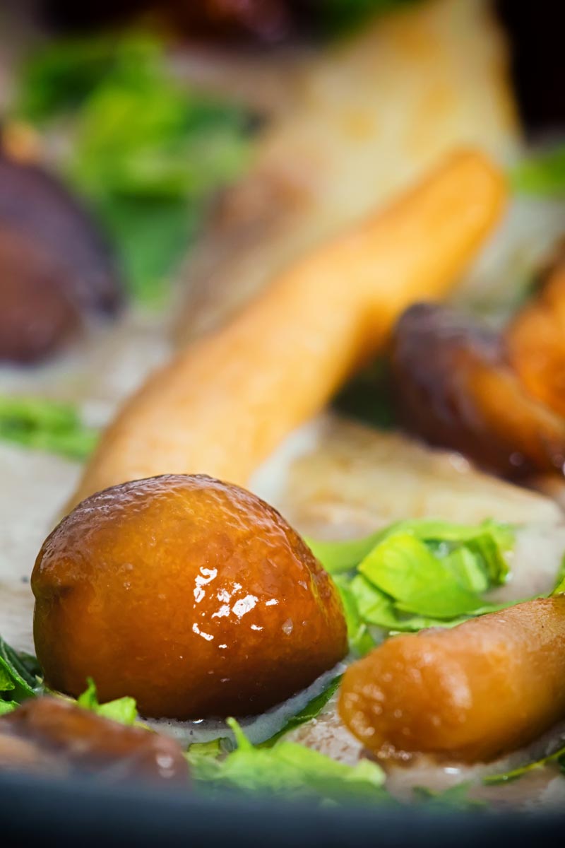Close up portrait image of a wild mushroom in a cream of mushroom soup