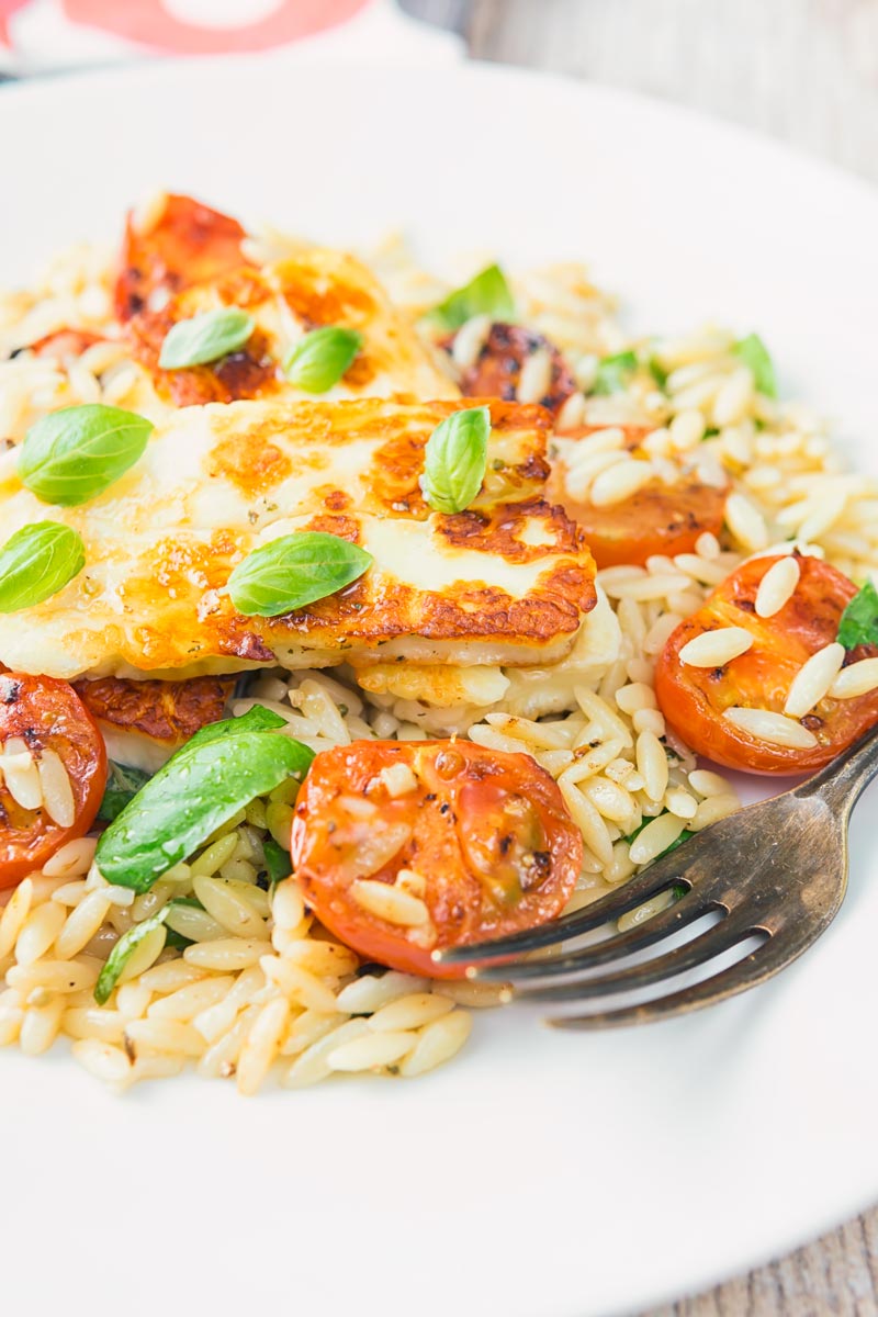 Fried halloumi cheese on an orzo salad with seared tomatoes and basil