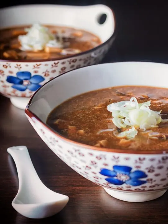 Chinese hot and sour soup with shredded spring onions in a bowl decorated with a blue flower