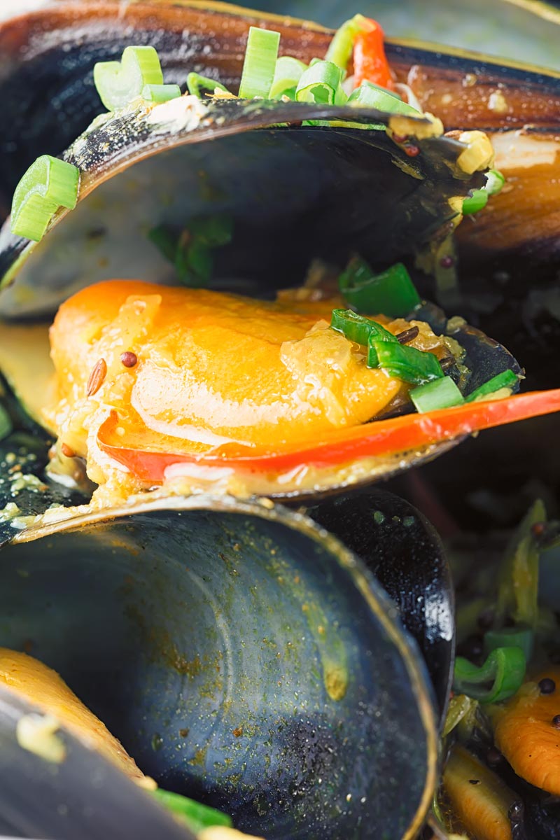 Portrait close up image of an Indian curry mussels served in a white bowl with a coconut broth and spring onions