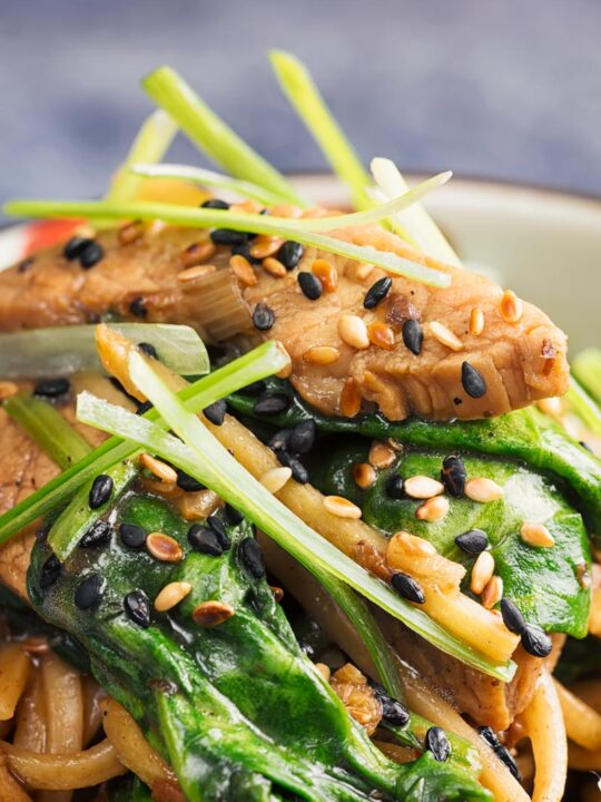 Portrait close up image of a pork stir fry with spinach and noodles