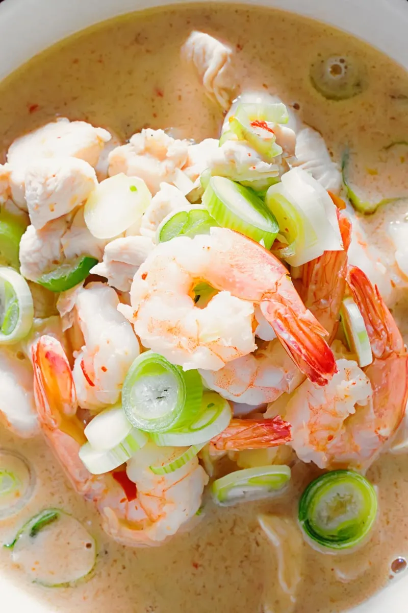 Portrait overhead image of a chicken and prawn soup