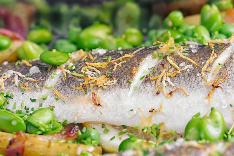 Landscape close up image of baked sea bass fillets slashed and scattered with lemon zest