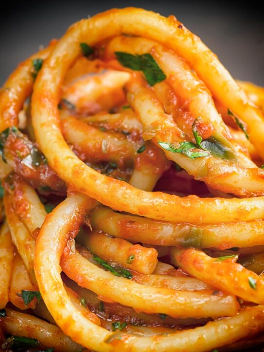 Portrait close up image of Bucatini pasta in a tomato sauce
