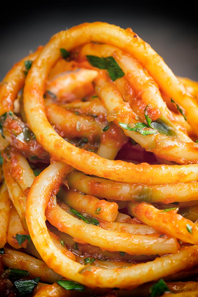 Portrait close up image of Bucatini pasta in a tomato sauce