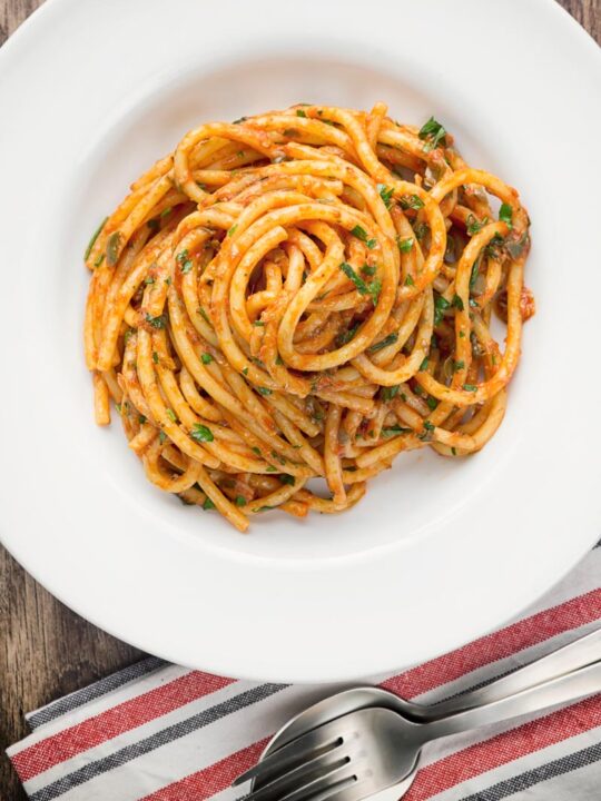 Portrait overhead image of Bucatini pasta in a tomato sauce