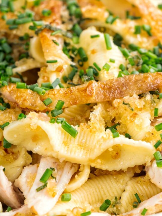 Portrait close up image of sage and onion chicken pasta served in a white shallow bowl