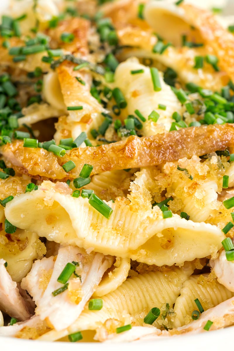 Portrait close up image of sage and onion chicken pasta served in a white shallow bowl