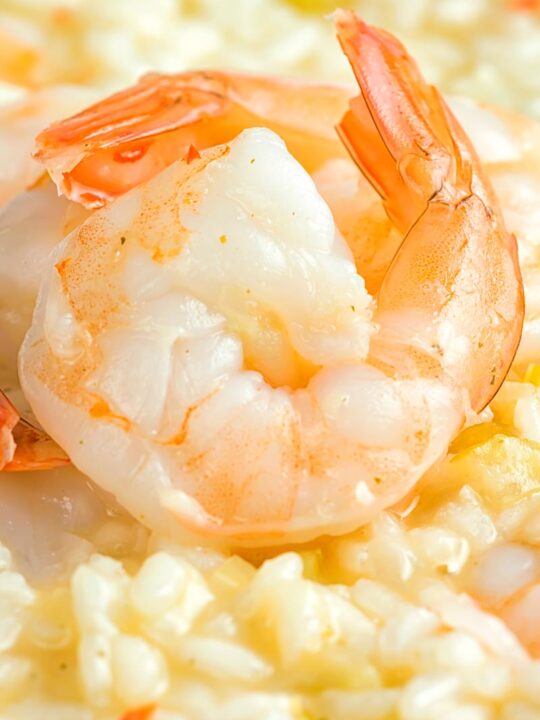 Close up portrait image king prawns served on a lemon and chilli risotto