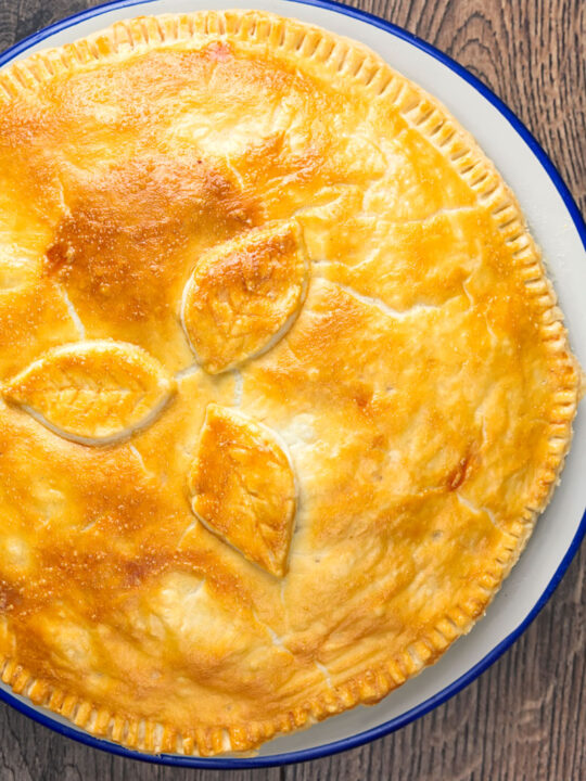 Overhead Portrait image of a golden pie crust on a plate pie