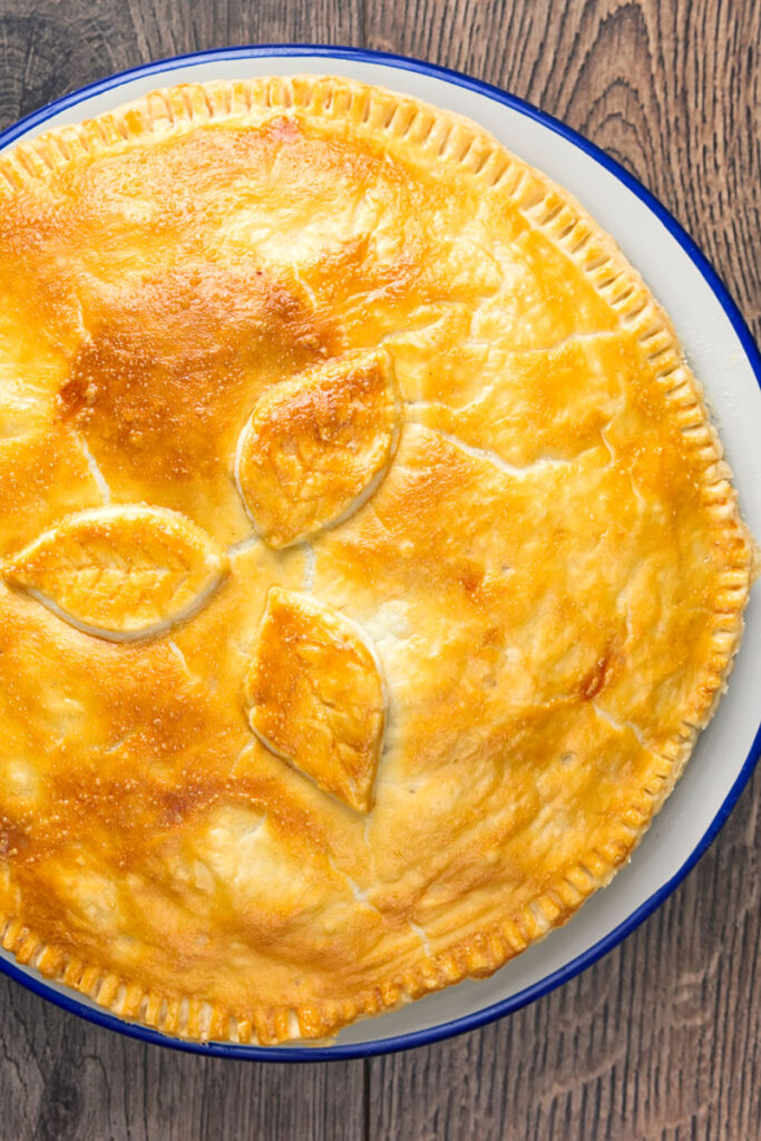 Overhead Portrait image of a golden pie crust on a plate pie