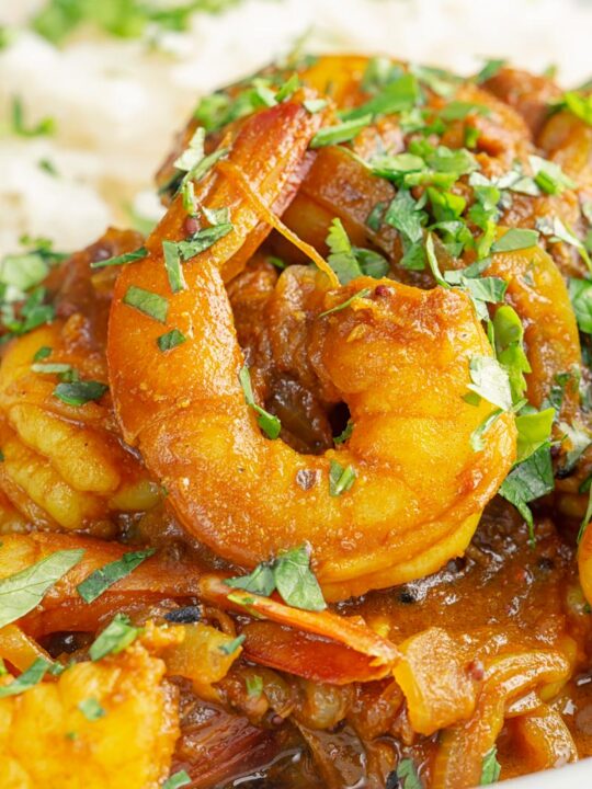 Portrait close up image of an Indian prawn curry served with white rise and garnished with coriander