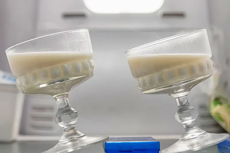 Panna cotta setting in the fridge at an angle for presentation purposes