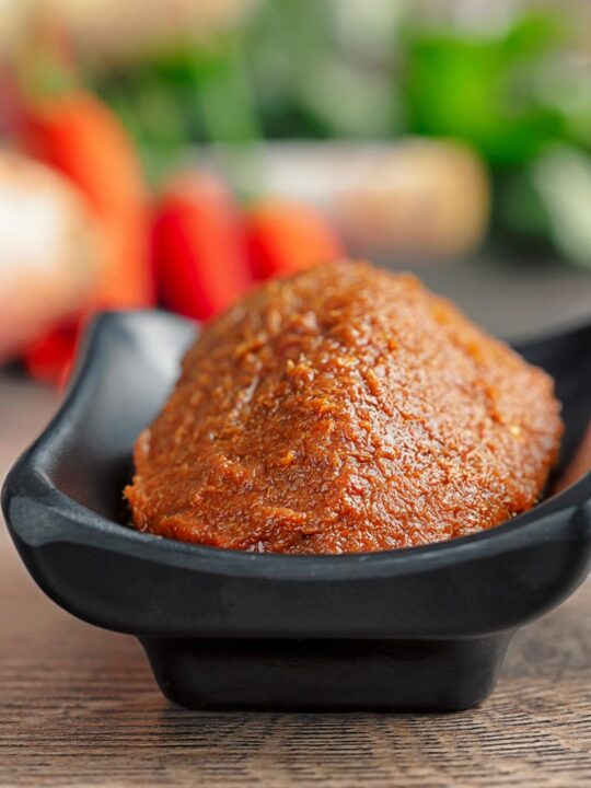 Portrait image of Thai red curry paste on a black serving dish with out of focus ingredients