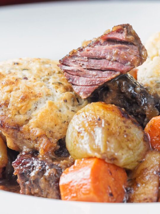 Portrait close up image of a beef stew showing texture of slowly cooked beef shin
