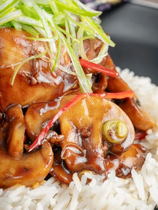 Portrait close up image of a Chinese chicken and mushroom stir fry served with shredded spring onion and white rice