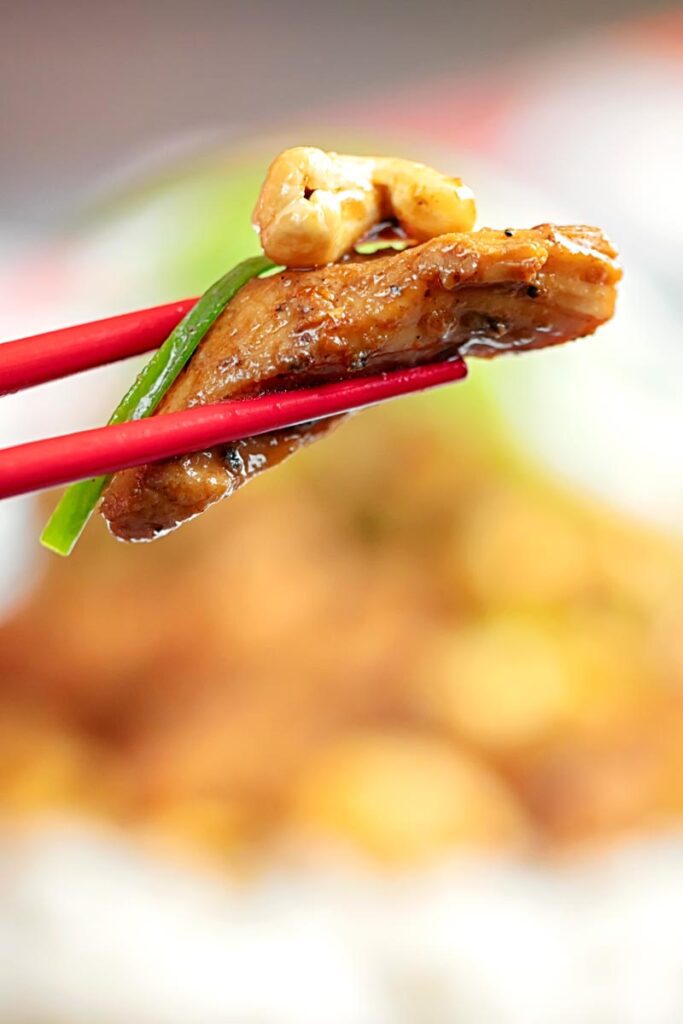 Close up portrait image of stir fried chicken with cashew nut and spring onions
