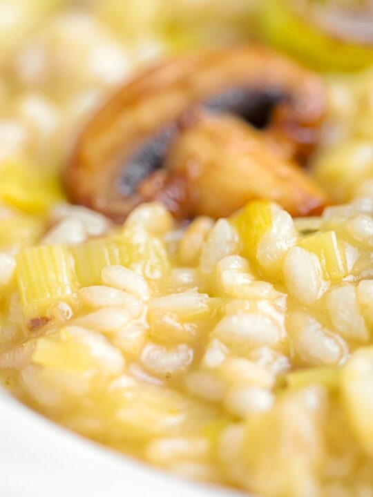 Portrait close up image of a creamy risotto with an out of focus slice of mushroom in the background