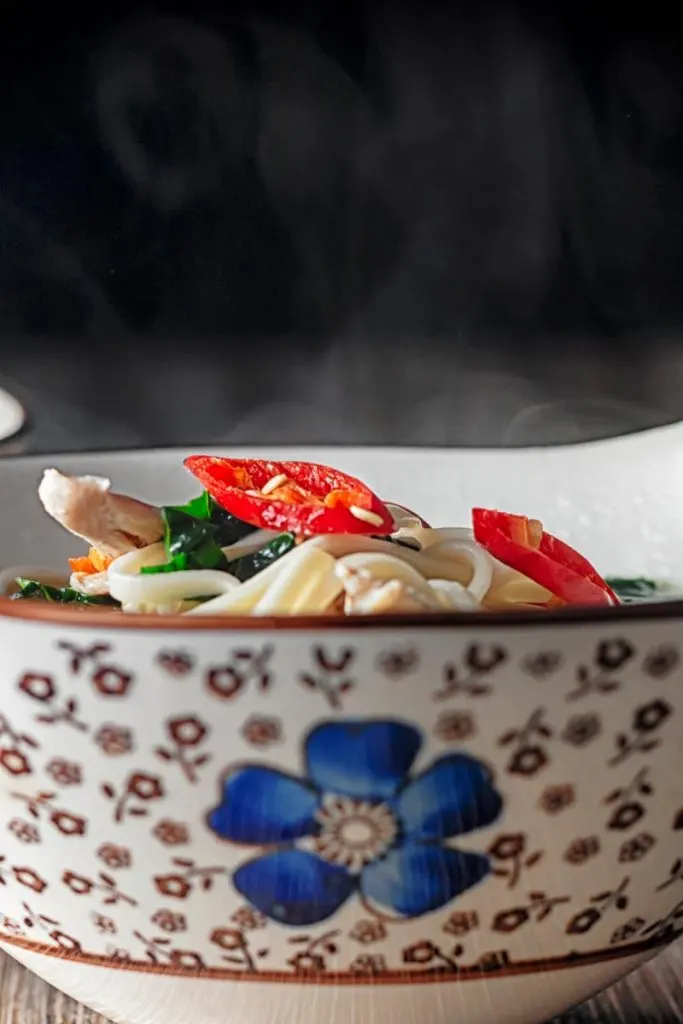 Portrait close up image of a steaming bowl of chicken noodle soup made with leftover chicken