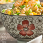 Portrait image of Chinese Special Fried rice served in bowls decorated with an Asian stylised design with a text overlay