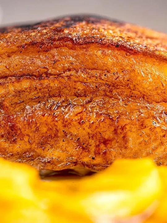 Portrait close up image of crispy Pork Belly