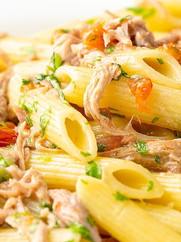 Portrait close up image of shredded duck ragu served with penne pasta