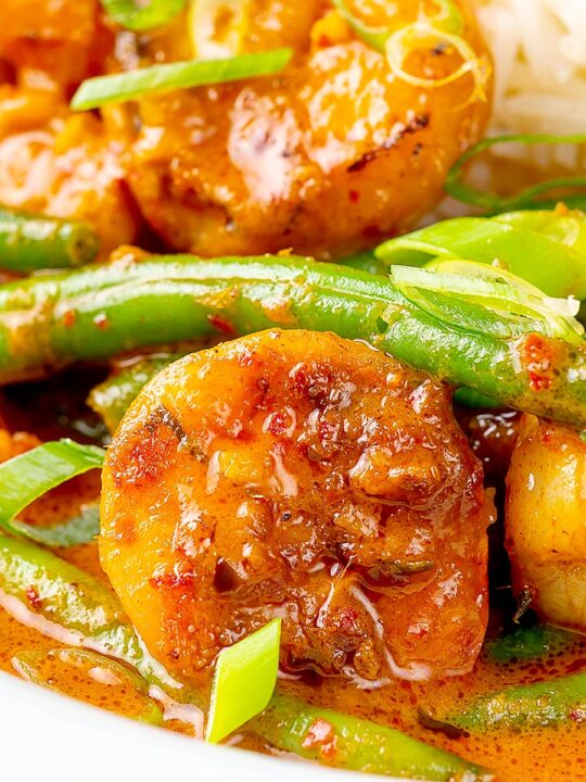 Portrait close up image of a Thai red prawn curry with green beans served with green onions