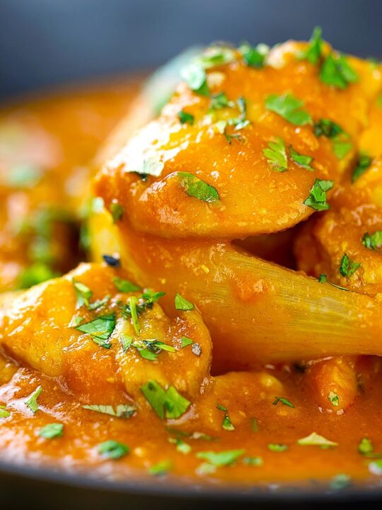 Portrait close up image of a chicken jalfrezi curry with a coriander garnish