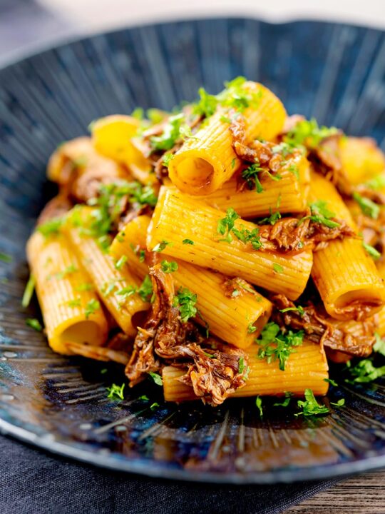 Portrait image of a shredded Venetian duck ragu served with rigatoni pasta in a mottled dark blue pasta bowl