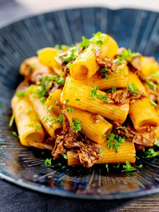 Portrait image of a shredded Venetian duck ragu served with rigatoni pasta in a mottled dark blue pasta bowl