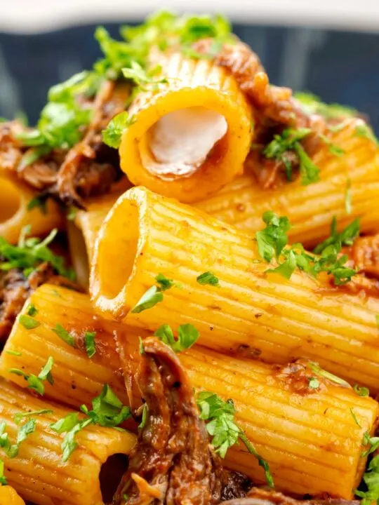 Portrait close up image of a shredded Italian duck ragu served with rigatoni pasta