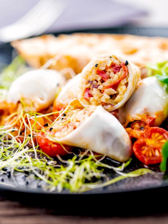 Portrait image of brown rice stuffed squid on a tomato sauce served with ciabatta bread and sprouted onion seeds