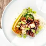 Portrait overhead image of teriyaki tofu served with pak choi, white rice and spring onions on a white plate