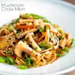 Vegetarian mushroom chow mein noodles served with shredded spring onion featuring a title overlay.