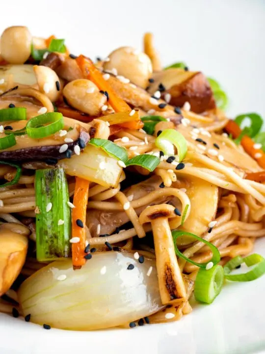 Close up vegetarian mushroom chow mein noodles using 3 types of mushroom.