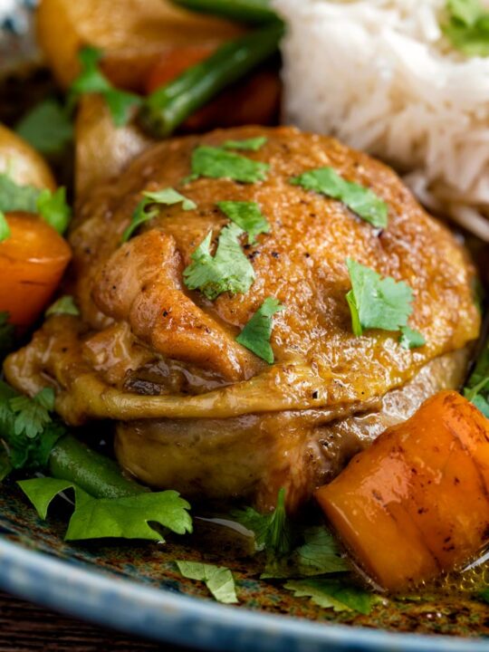 Close up Vietnamese chicken curry or ca ri ga with rice and vegetables.