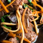 Close up beef noodle soup featuring udon noodles & spinach in a dark soy broth.