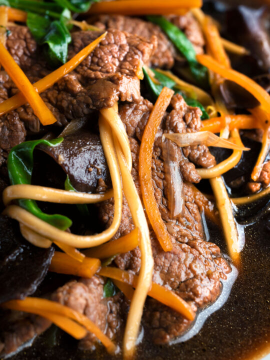 Close up beef noodle soup featuring udon noodles & spinach in a dark soy broth.