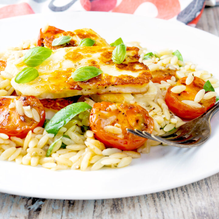 Halloumi pasta salad with orzo, seared tomatoes, basil and balsamic vinegar dressing.