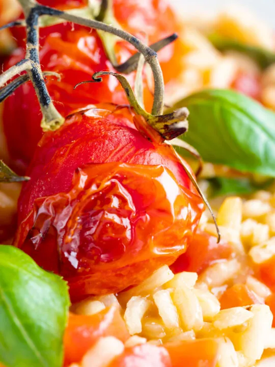 Close up tomato risotto with basil and roasted tomatoes.
