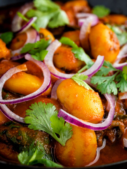 Close up Indian butter bean curry served with coriander and red onion.