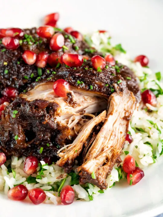 Iranian fesenjan chicken thigh stew with pomegranate showing cooked meat texture.