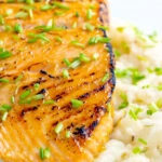 Honey mustard salmon fillet served on celeriac mash with snipped chives.