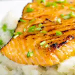 Close up pan fried honey mustard salmon served on celeriac mash featuring a title overlay.