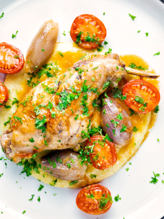 Rabbit Cacciatore or Coniglio alla Cacciatora with shallot and cherry tomatoes.