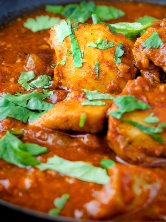 Close up chicken rogan josh curry with fresh coriander.